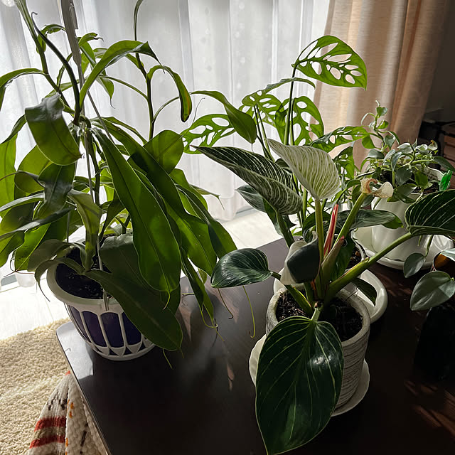 miさんの部屋