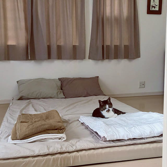 JUENさんの実例写真