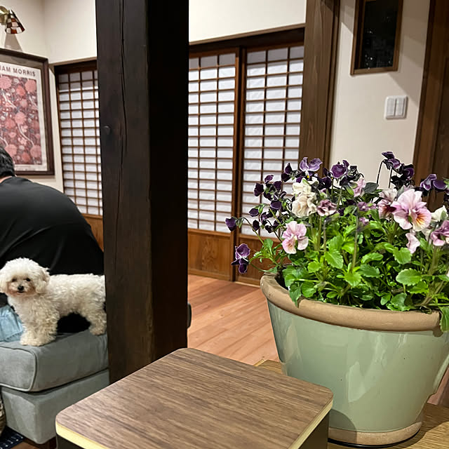 cota2さんの実例写真