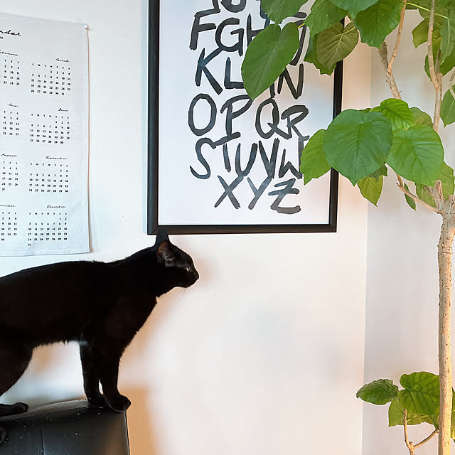 nekomiさんの部屋