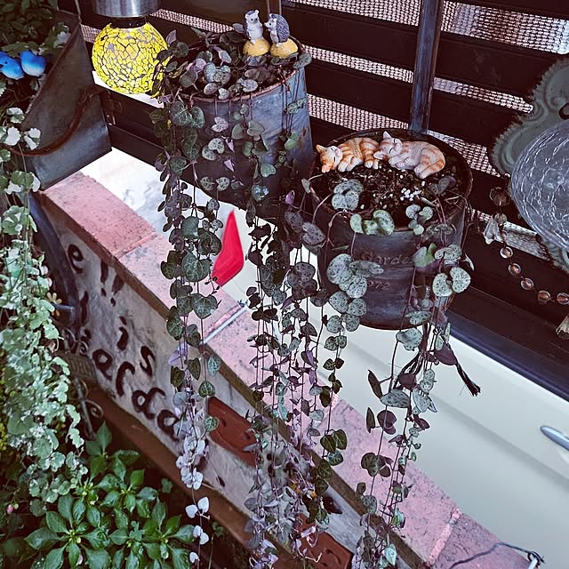 mocomocoさんの部屋