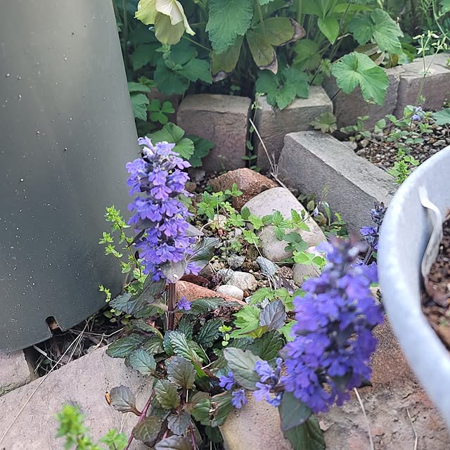 VIORAさんの部屋