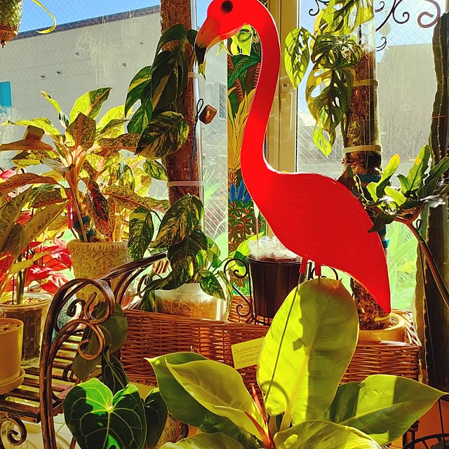 nacchanさんの実例写真