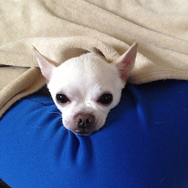 kaochanさんの実例写真