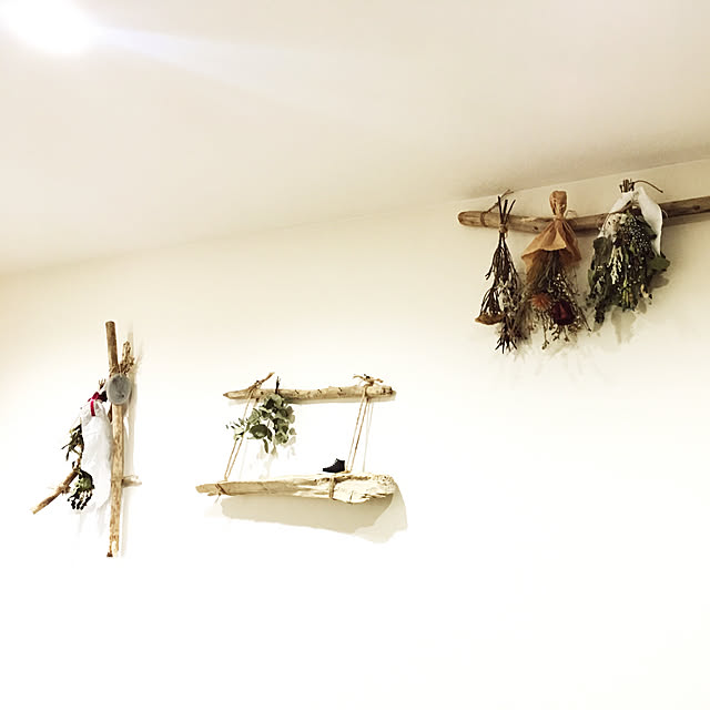 観葉植物/雑貨/ハンドメイド/DIY/流木...などのインテリア実例 - 2019-04-19 06:44:02