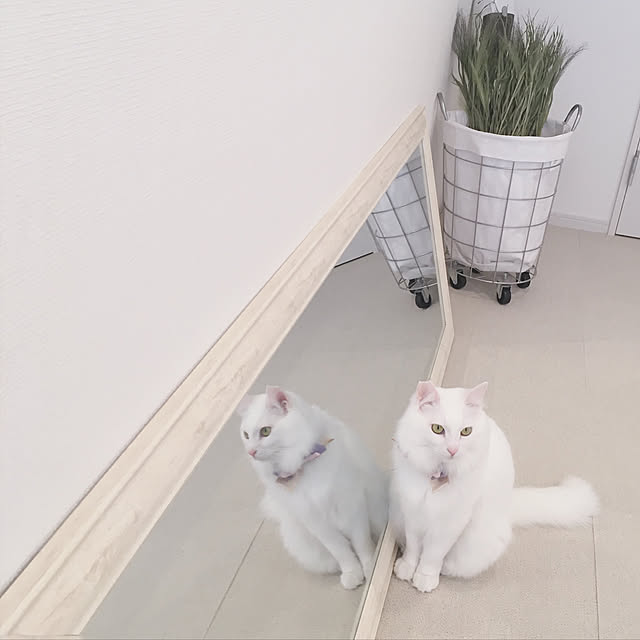 ___en_さんの実例写真