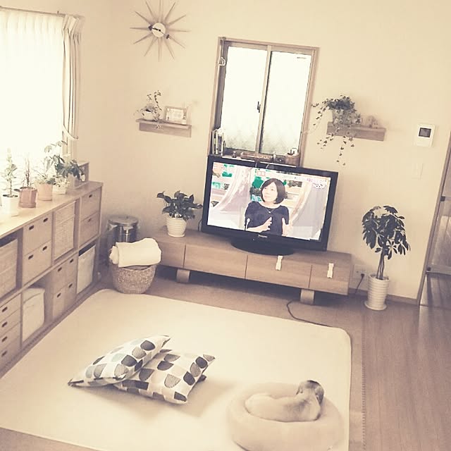 miruban1010さんの実例写真