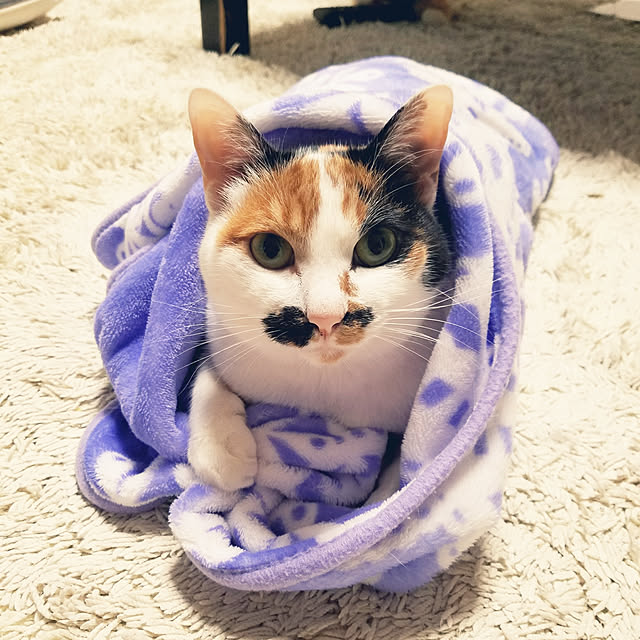Kinanさんの実例写真