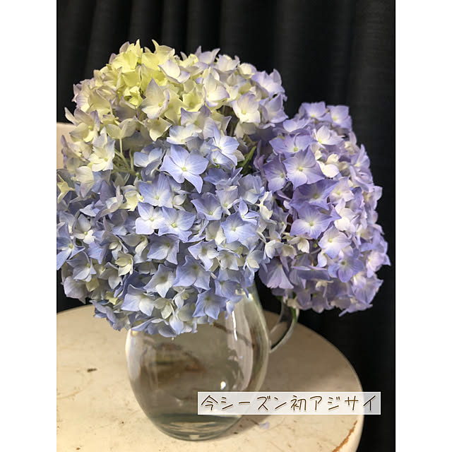 sakurakoさんの実例写真