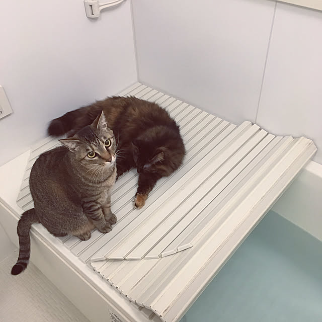 mikomaruさんの実例写真