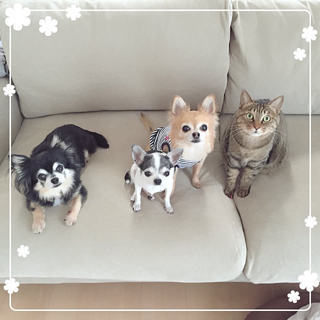 Emiさんの実例写真