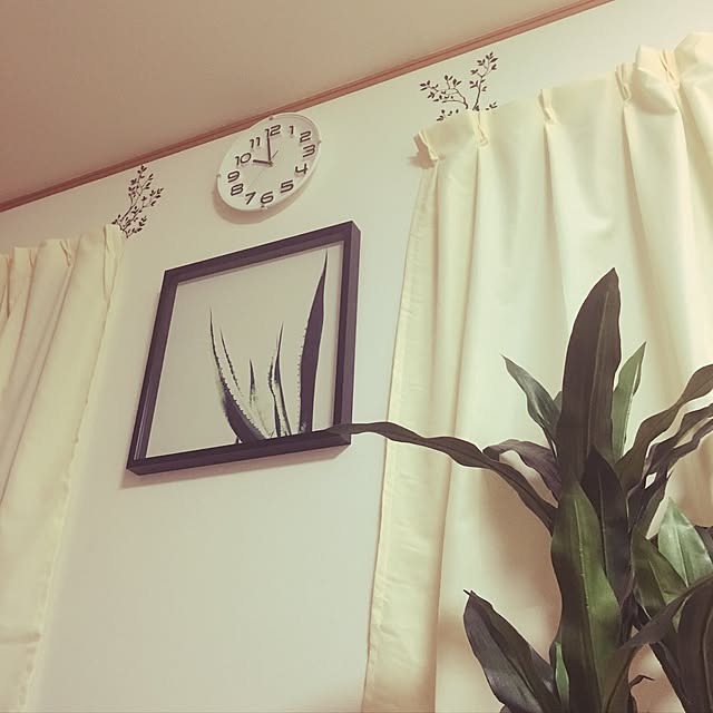 ucampさんの実例写真