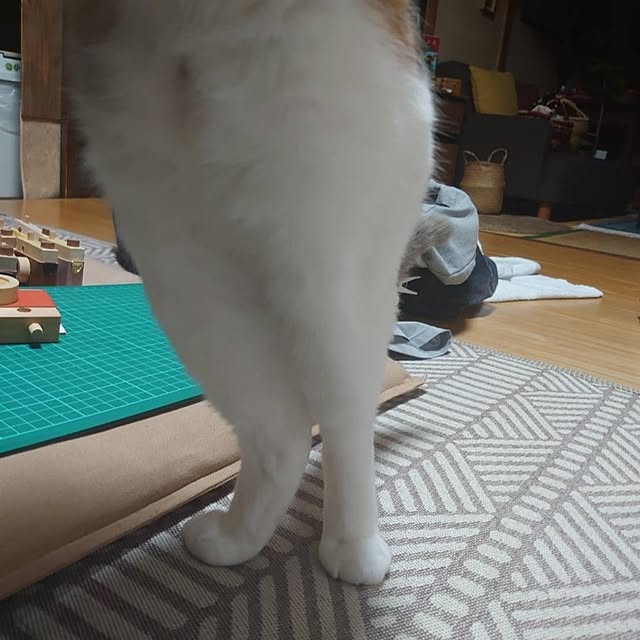 fukuさんの部屋