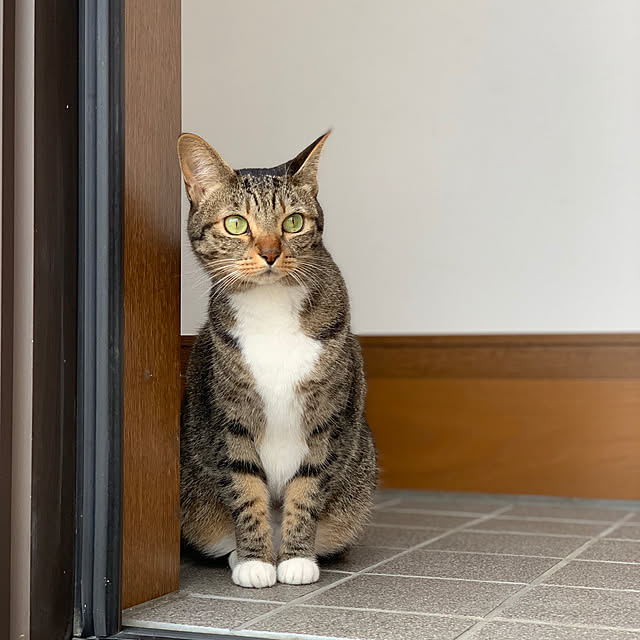 2bunno1koさんの実例写真