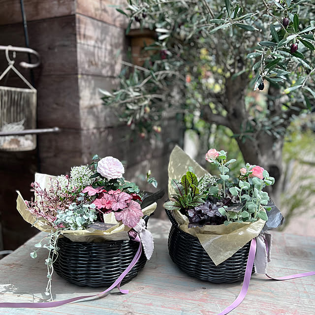 Royal_Gardeners_Clubさんの部屋