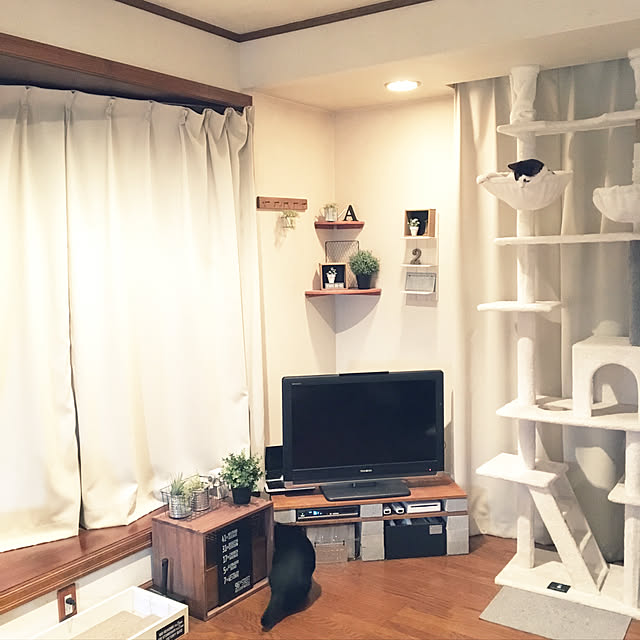 mahi1101さんの実例写真
