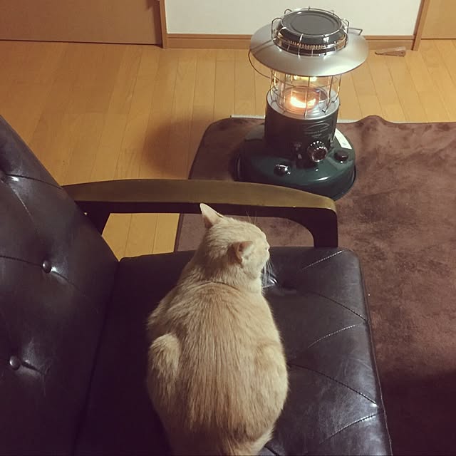 mikan161さんの実例写真