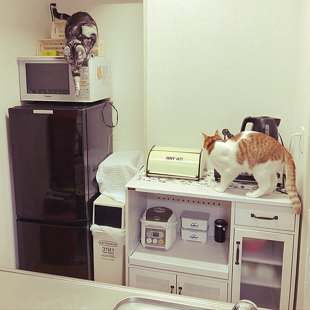 mosuさんの実例写真