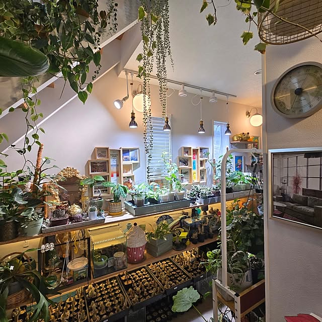 nonbiri_house_さんの部屋