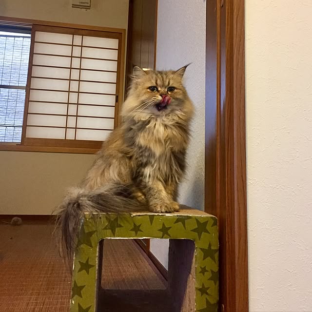 butachanさんの実例写真