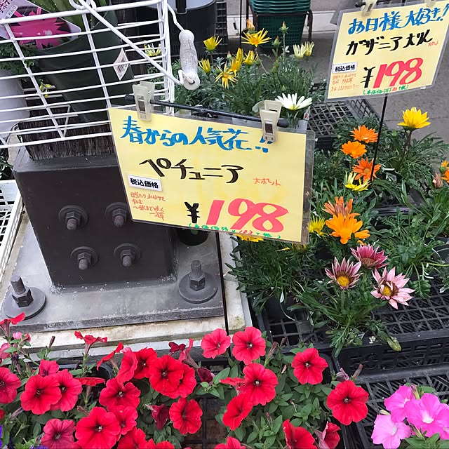 himeringoさんの実例写真