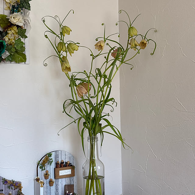 zuccoさんの実例写真