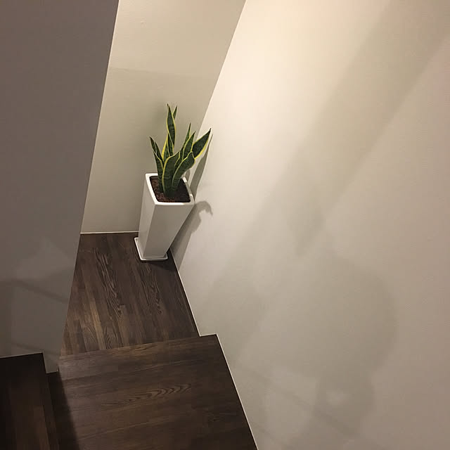 chumeさんの実例写真