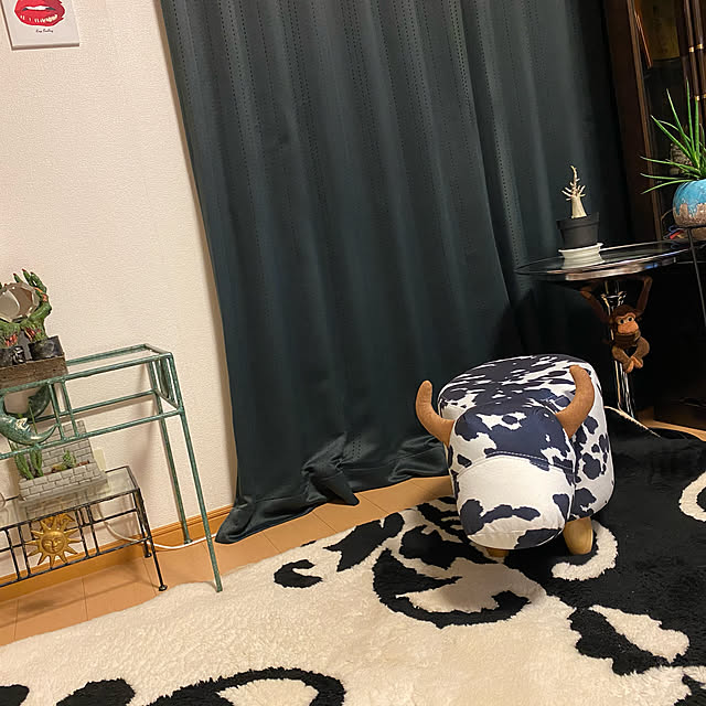 momongaさんの実例写真