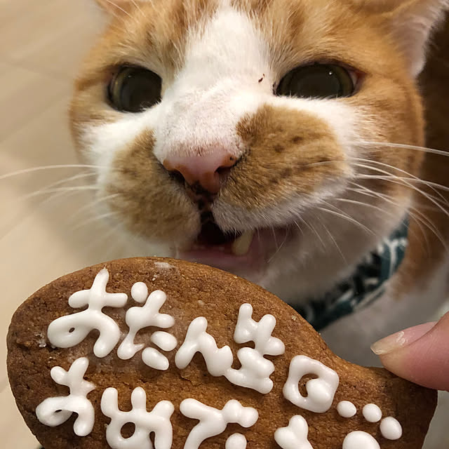 mikenekoさんの実例写真