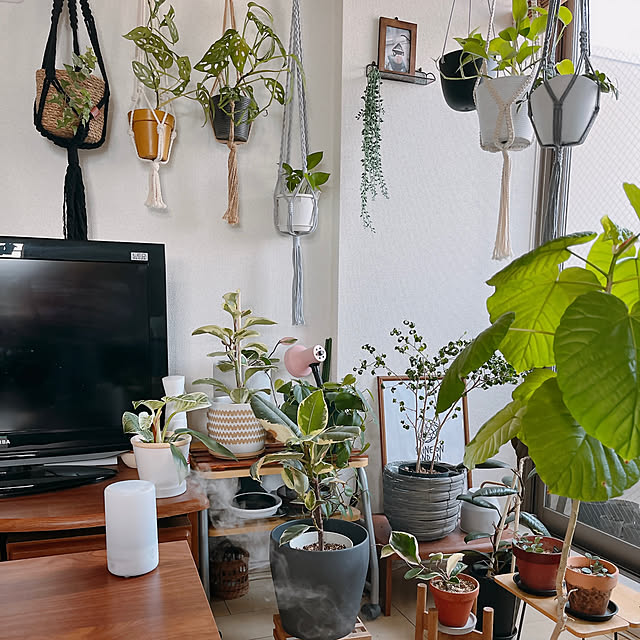 mikiteacupさんの部屋