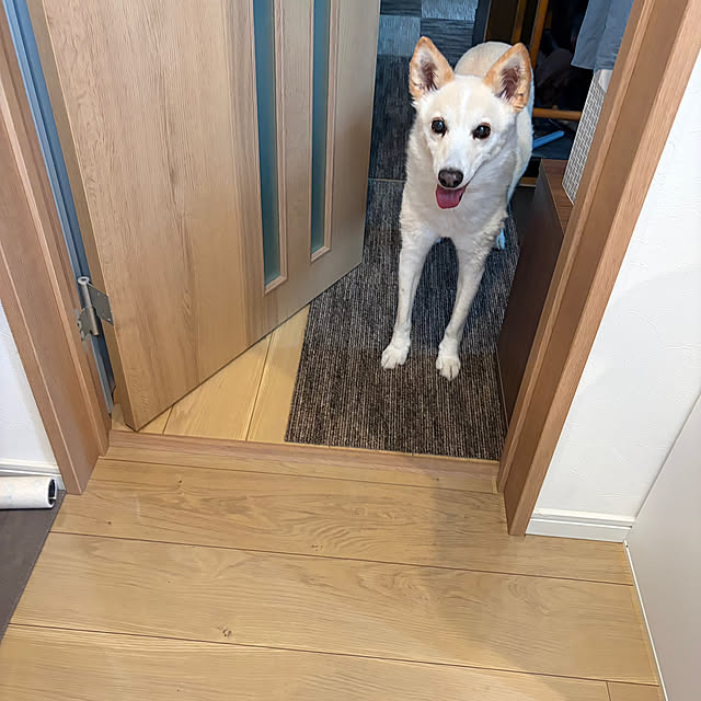 tanboさんの部屋