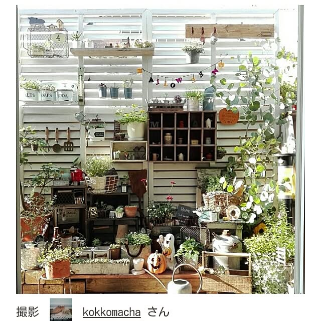 kokkomachaさんの実例写真