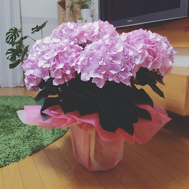 yukaさんの実例写真