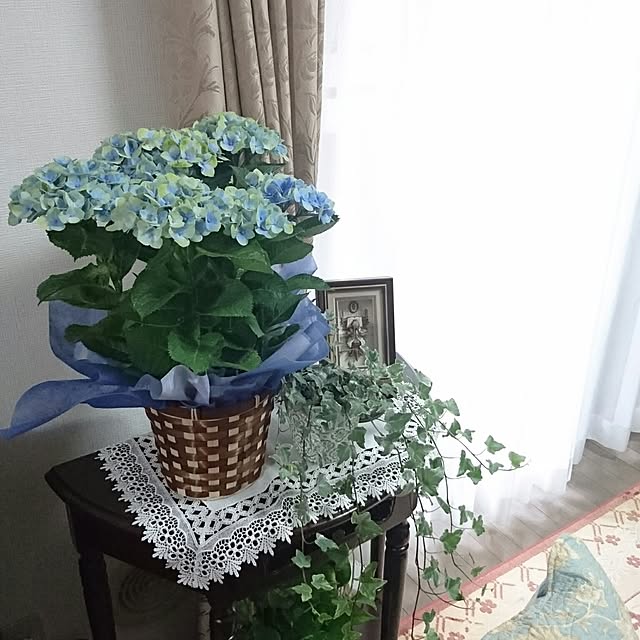 misaさんの実例写真