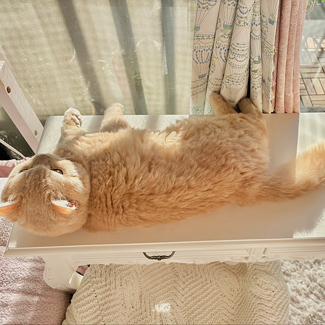 naokoさんの部屋