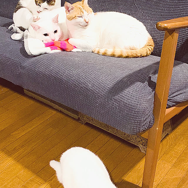 simayaさんの部屋