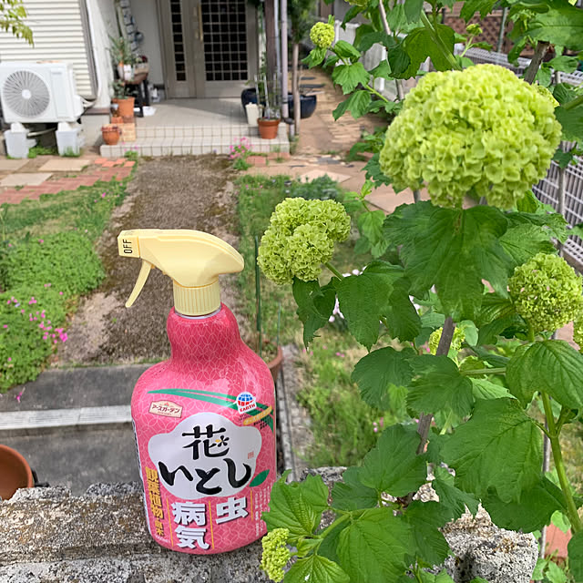 cyaroさんの実例写真
