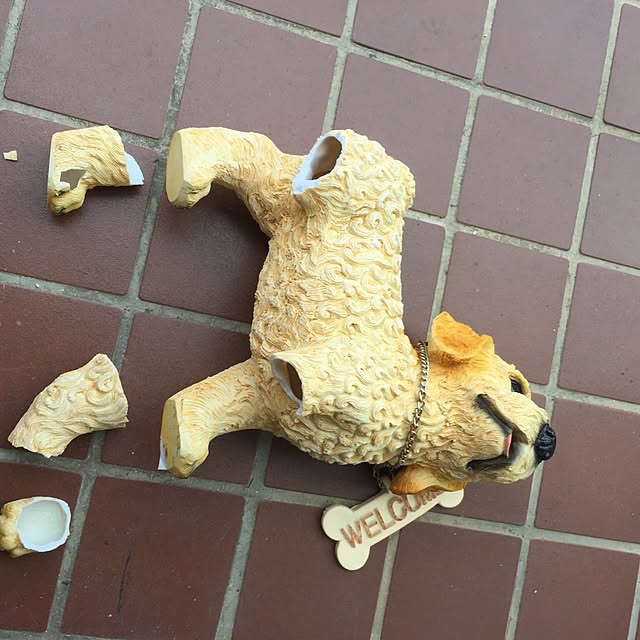 moco420さんの実例写真