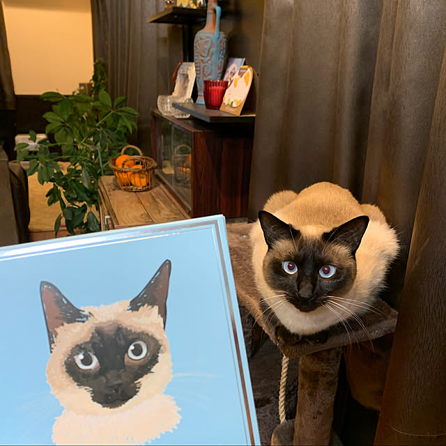 shi622さんの実例写真