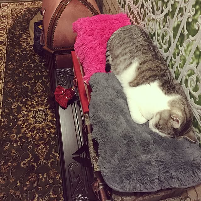 emmyyさんの実例写真