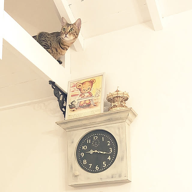 junchanさんの実例写真