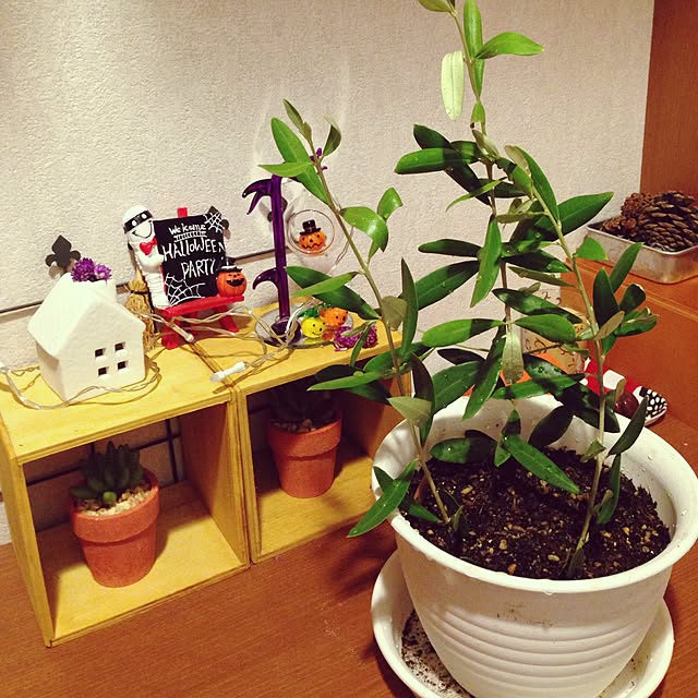 HARUKAZEさんの実例写真