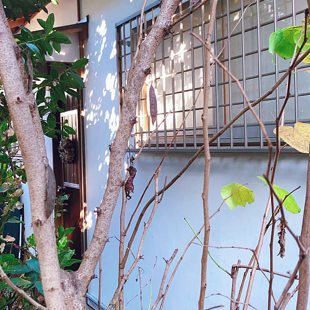chacoさんの実例写真