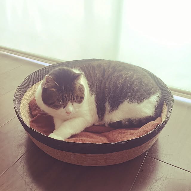 marr0512さんの実例写真