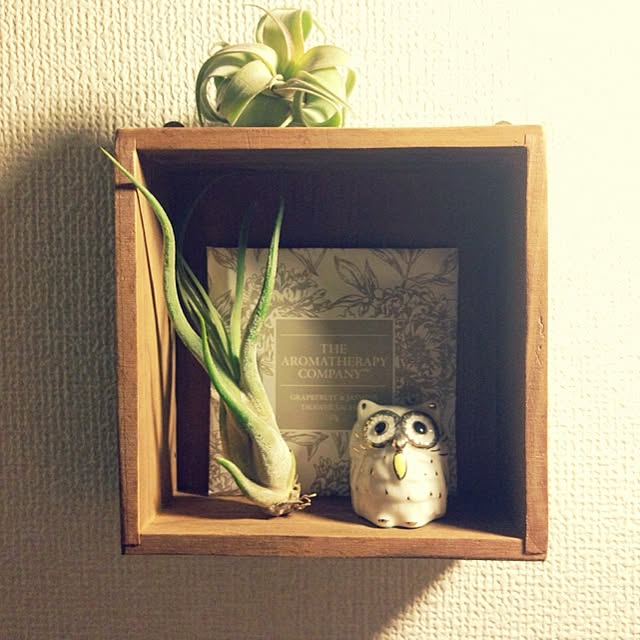 MMさんの実例写真