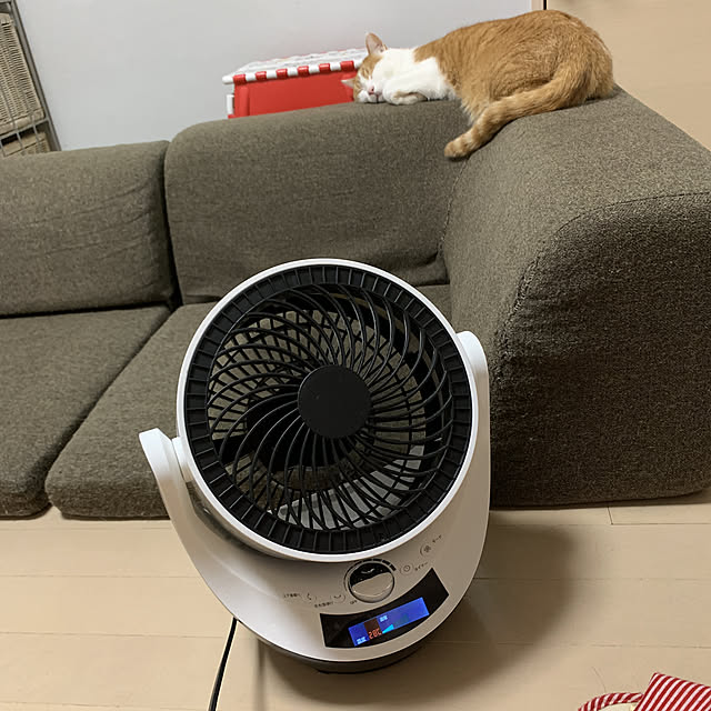 Toyomiさんの実例写真