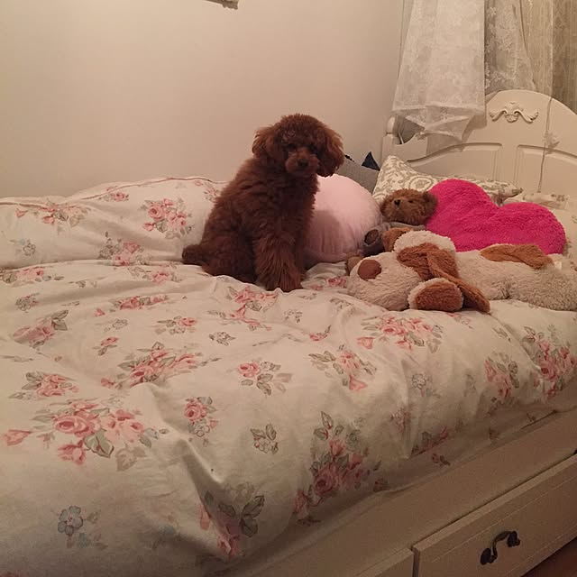 Naomiさんの実例写真