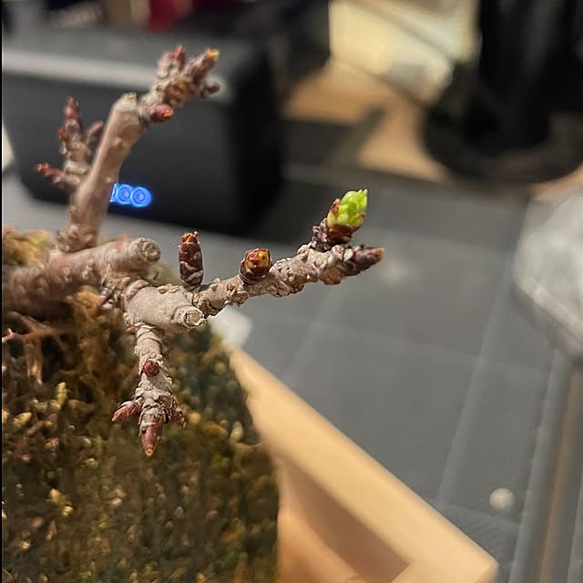 zenさんの実例写真