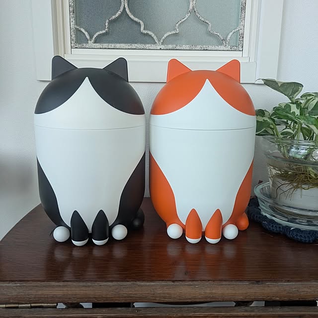 fumitanさんの部屋