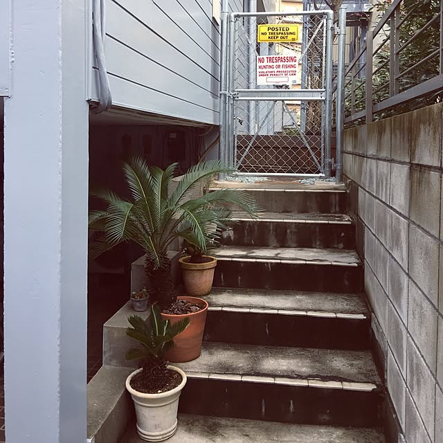 sariboooさんの実例写真